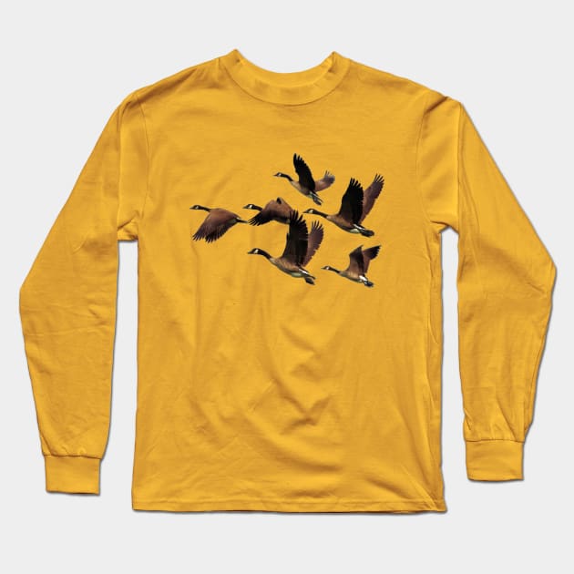 Geese Take Flight Long Sleeve T-Shirt by tedsox